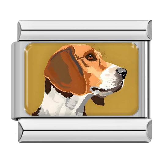 Beagle-Hund