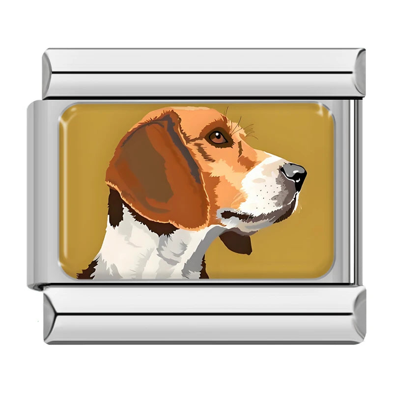 Beagle dog