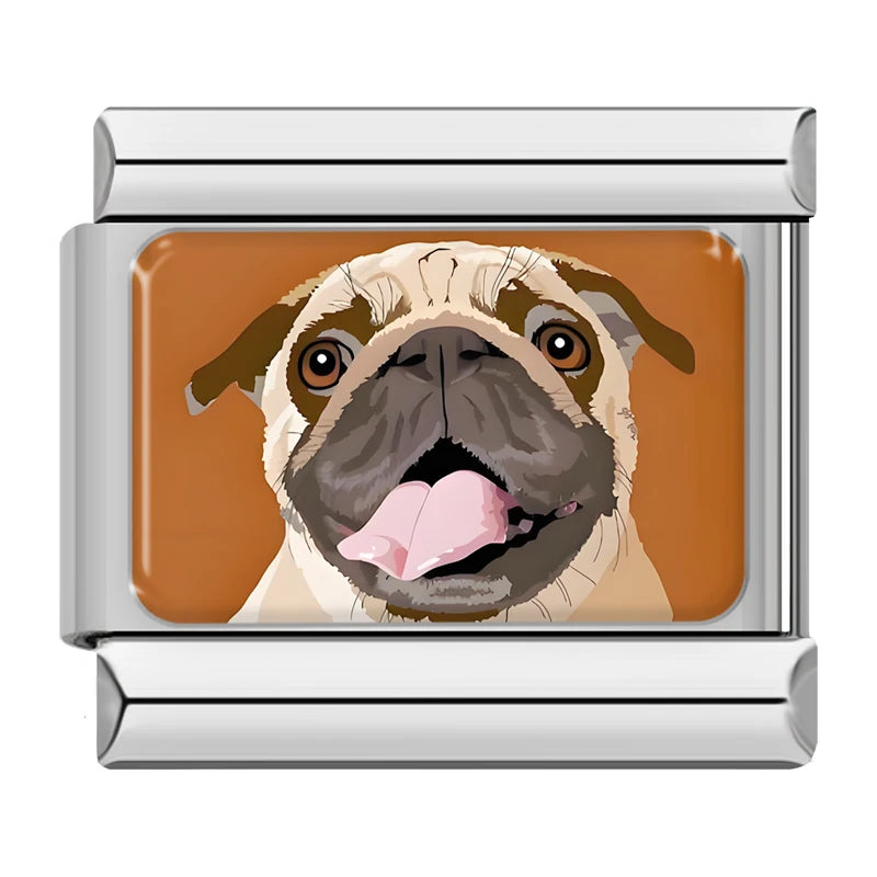 Pug dog